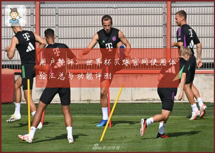 用户热评：世界杯买球官网使用体验汇总与功能评测