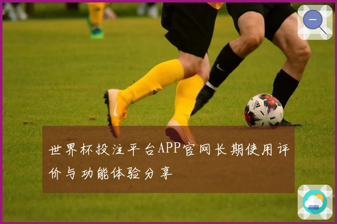 世界杯投注平台APP官网长期使用评价与功能体验分享
