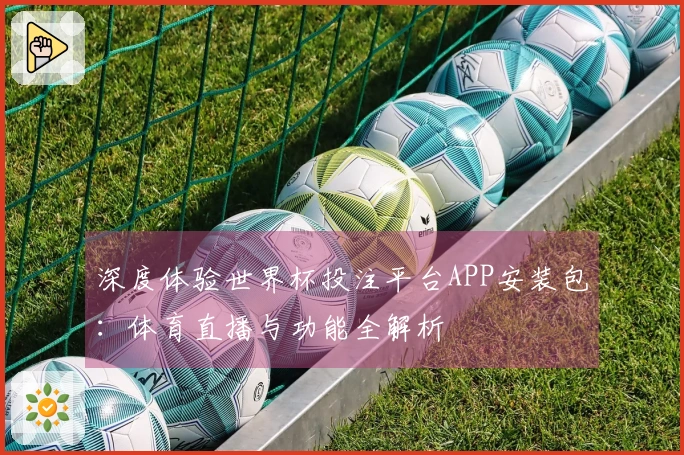 深度体验世界杯投注平台APP安装包：体育直播与功能全解析