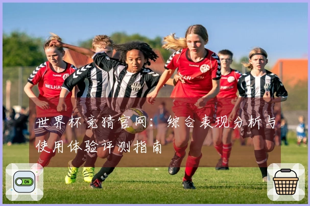 世界杯竞猜官网：综合表现分析与使用体验评测指南