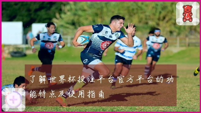 了解世界杯投注平台官方平台的功能特点及使用指南