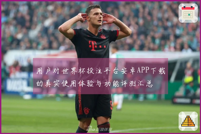 用户对世界杯投注平台安卓APP下载的真实使用体验与功能评测汇总