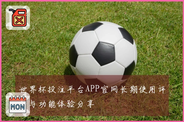 世界杯投注平台APP官网长期使用评价与功能体验分享