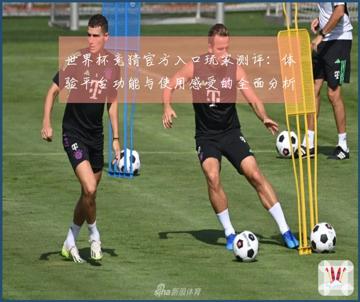 世界杯竞猜官方入口玩家测评:体验平台功能与使用感受的全面分析