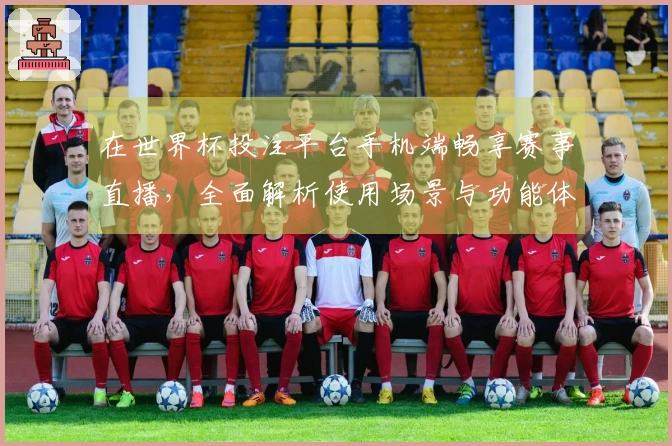 在世界杯投注平台手机端畅享赛事直播，全面解析使用场景与功能体验
