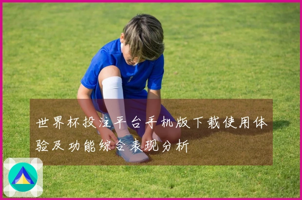 世界杯投注平台手机版下载使用体验及功能综合表现分析