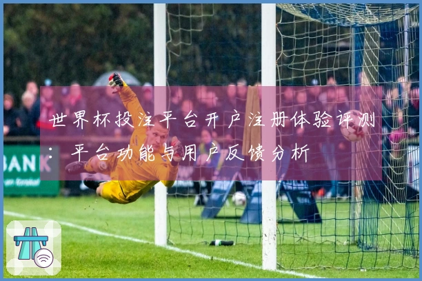 世界杯投注平台开户注册体验评测：平台功能与用户反馈分析